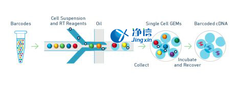 中國(guó)人自己的微流控單細(xì)胞測(cè)序儀來(lái)了！_微流控Drop-seq,微流控技術(shù)