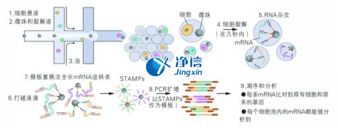 中國(guó)人自己的微流控單細(xì)胞測(cè)序儀來(lái)了！_微流控Drop-seq